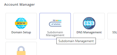 Domain Setup Icon DirectAdmin