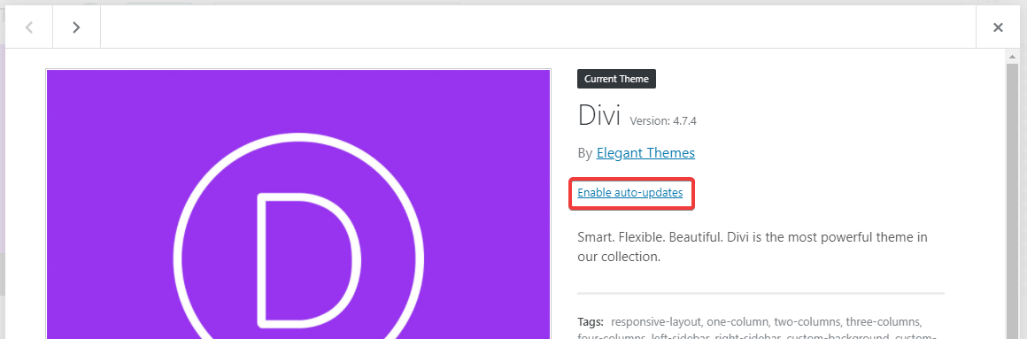wordpress-theme-enable-auto-updates WordPress Theme Enable Auto Updates