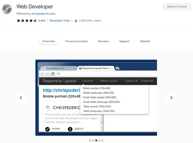 WordPress Chrome Extensions Web Developer