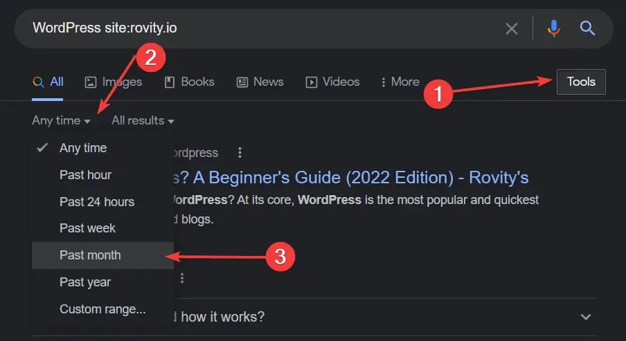 WordPress Google String Search Rovity Time Filter