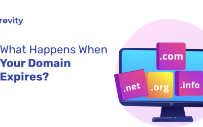What Happens When Your Domain Expires?